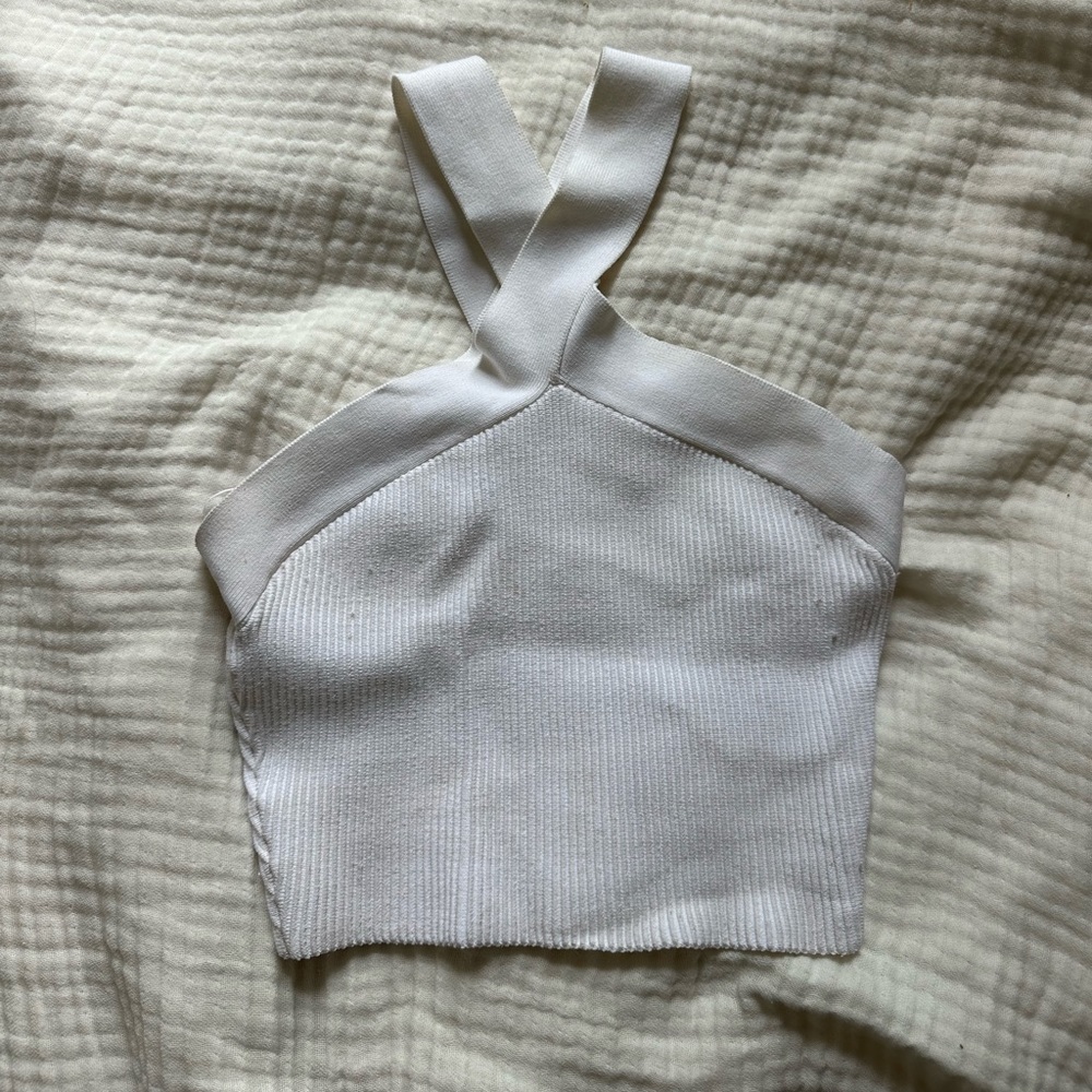 Aritzia Babaton Halterneck Top